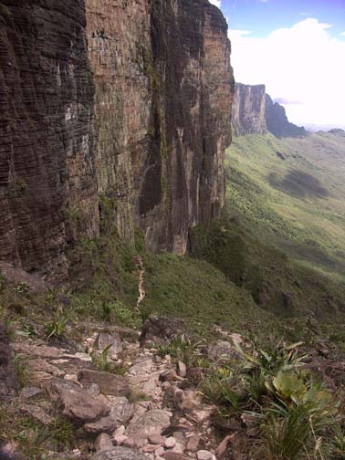 a photo
taken near the top of roraima